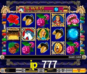 VIP Casino ip 777